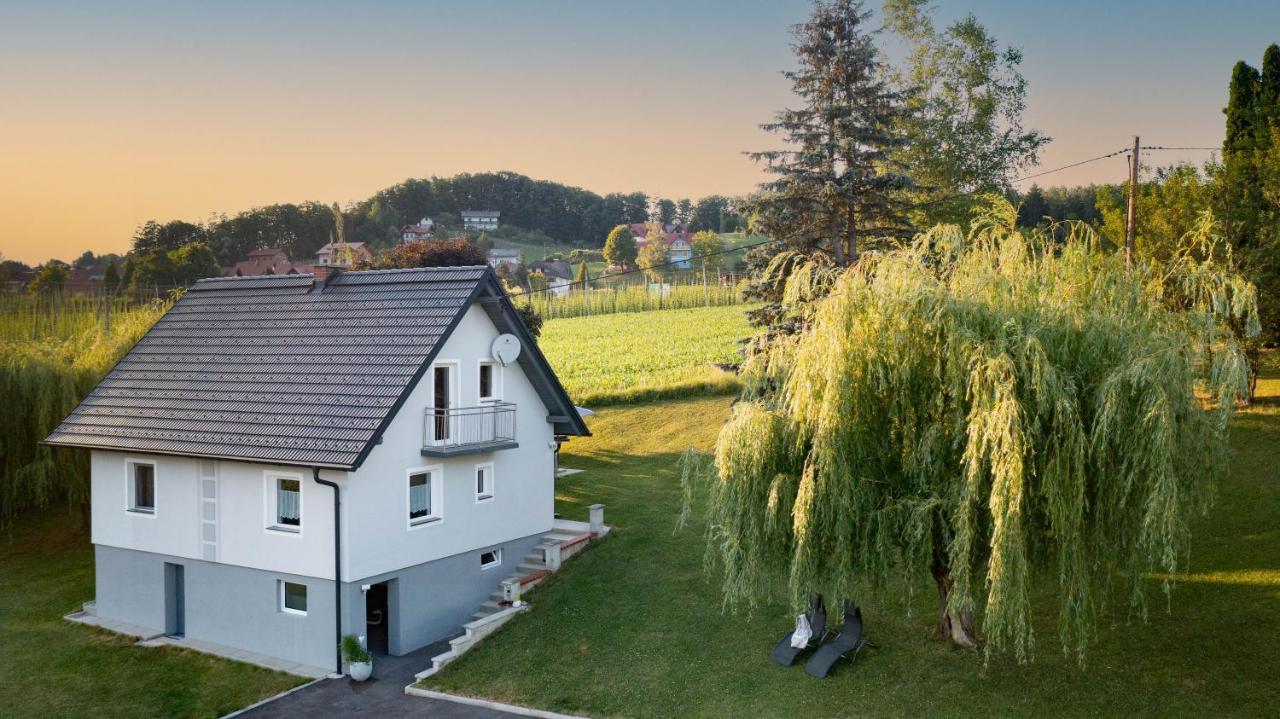 Ferienhaus Treissmann an der Weinstraße Leutschach Exterior foto